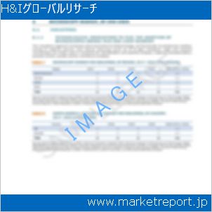 市場と産業調査レポートのイメージ